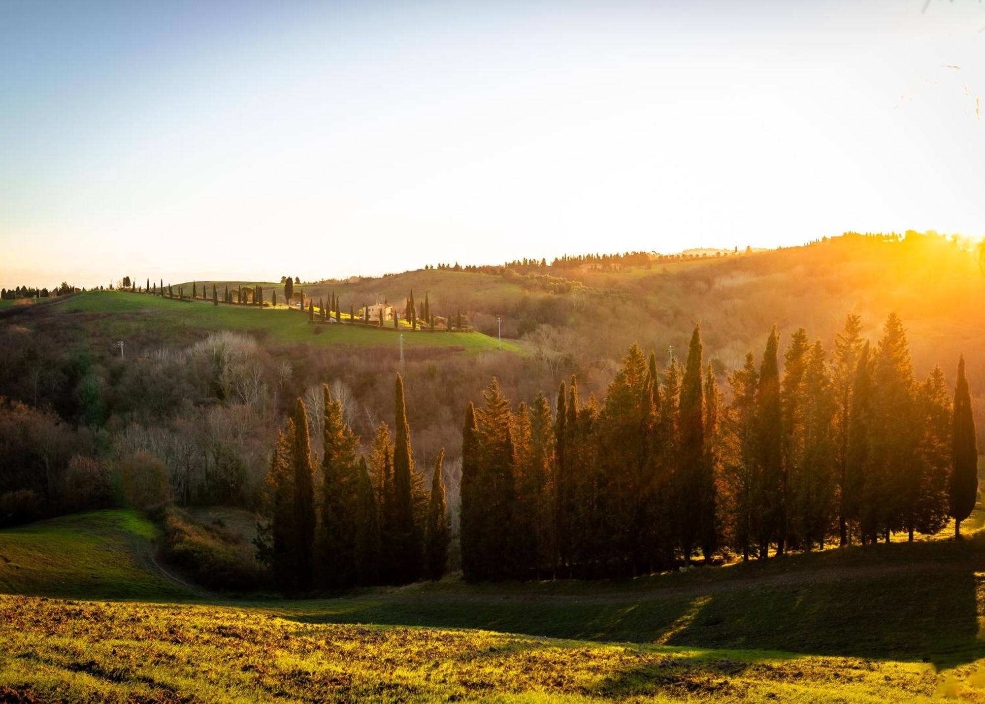 몬타이오네 Borgo Il Poggio Agritourismo 빌라 외부 사진